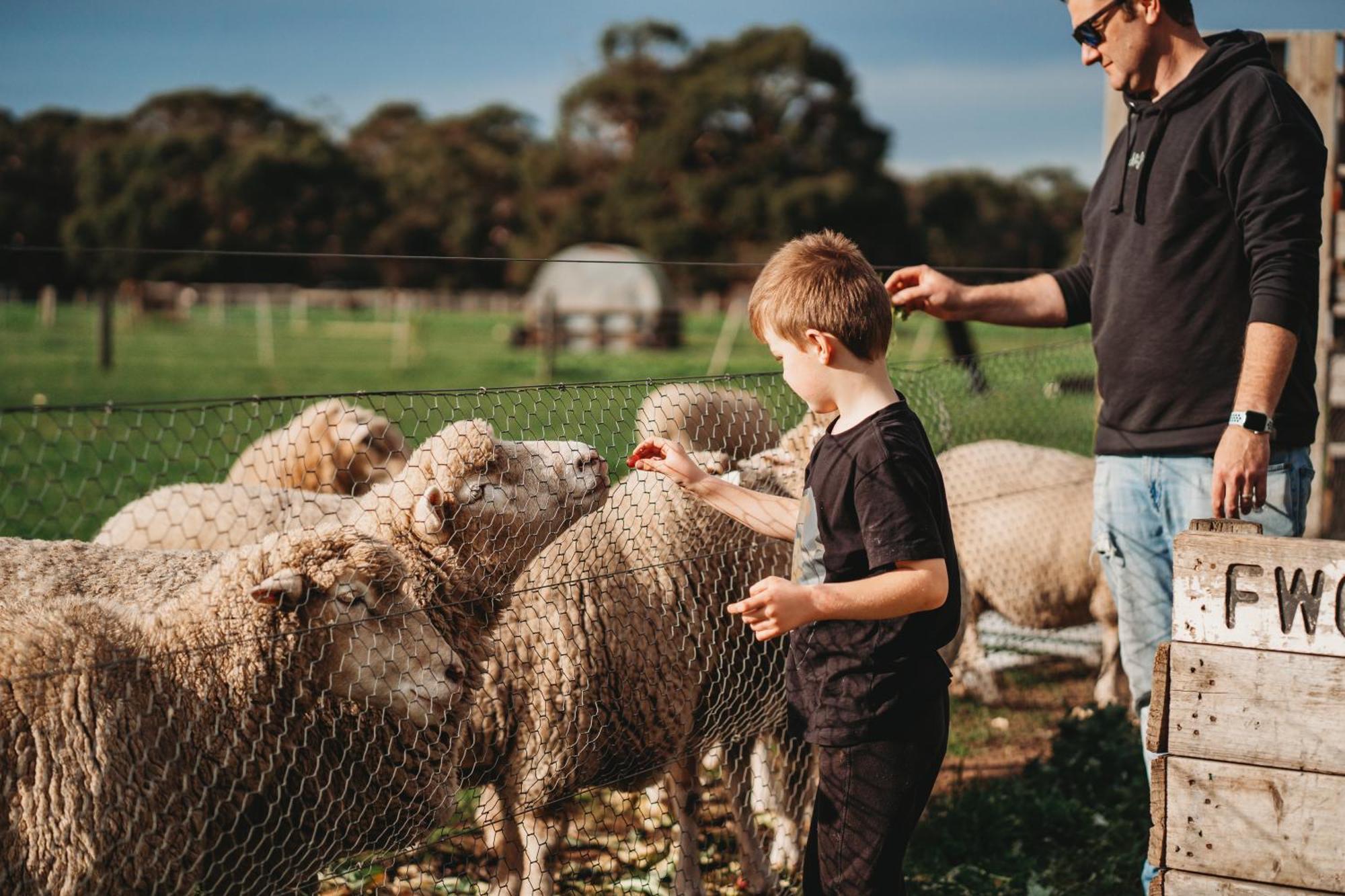 Freshwater Creek Cottages & Farm Stay Torquay Eksteriør bilde