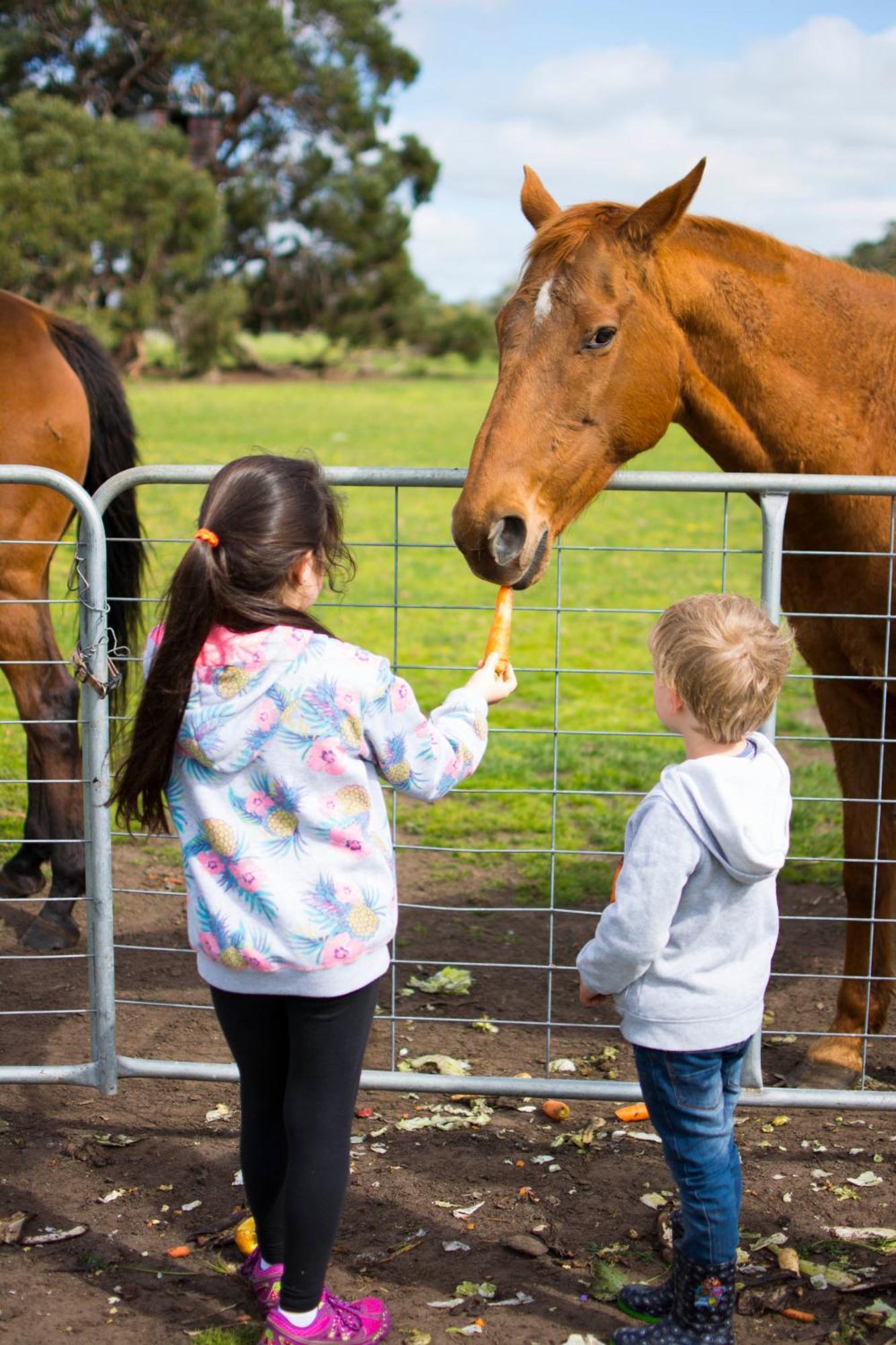 Freshwater Creek Cottages & Farm Stay Torquay Eksteriør bilde