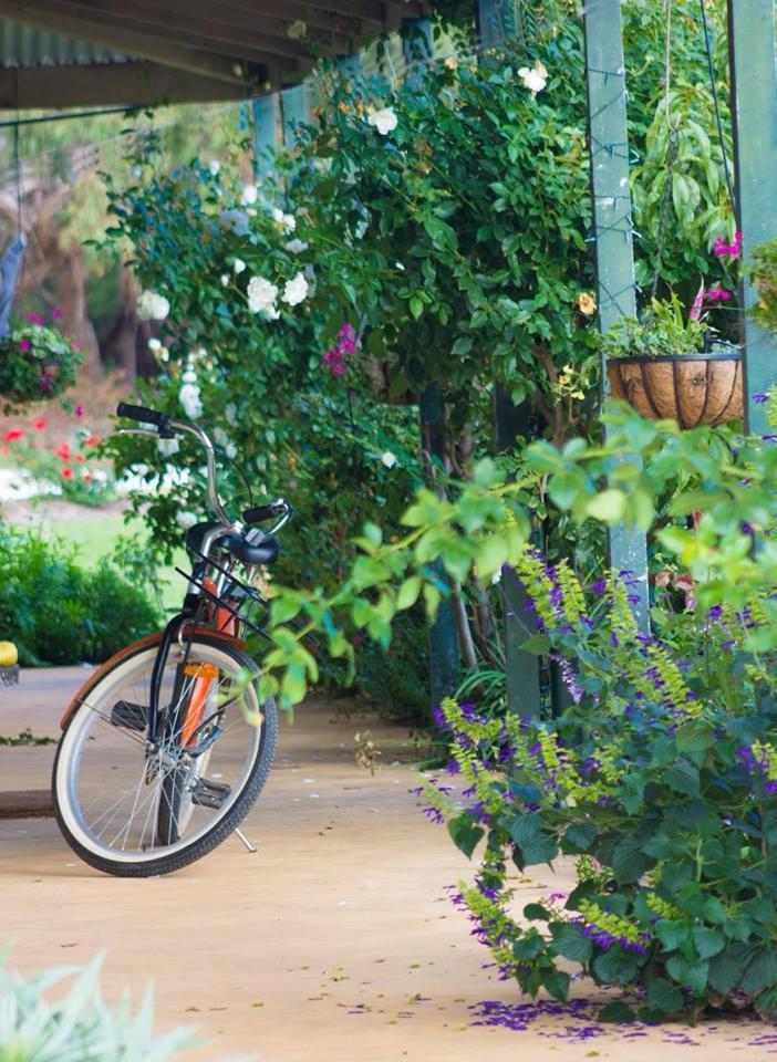 Freshwater Creek Cottages & Farm Stay Torquay Eksteriør bilde