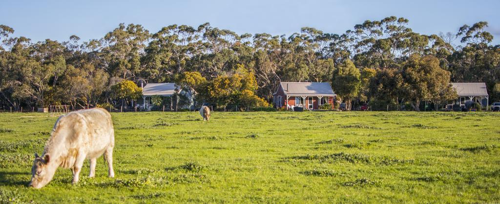 Freshwater Creek Cottages & Farm Stay Torquay Eksteriør bilde