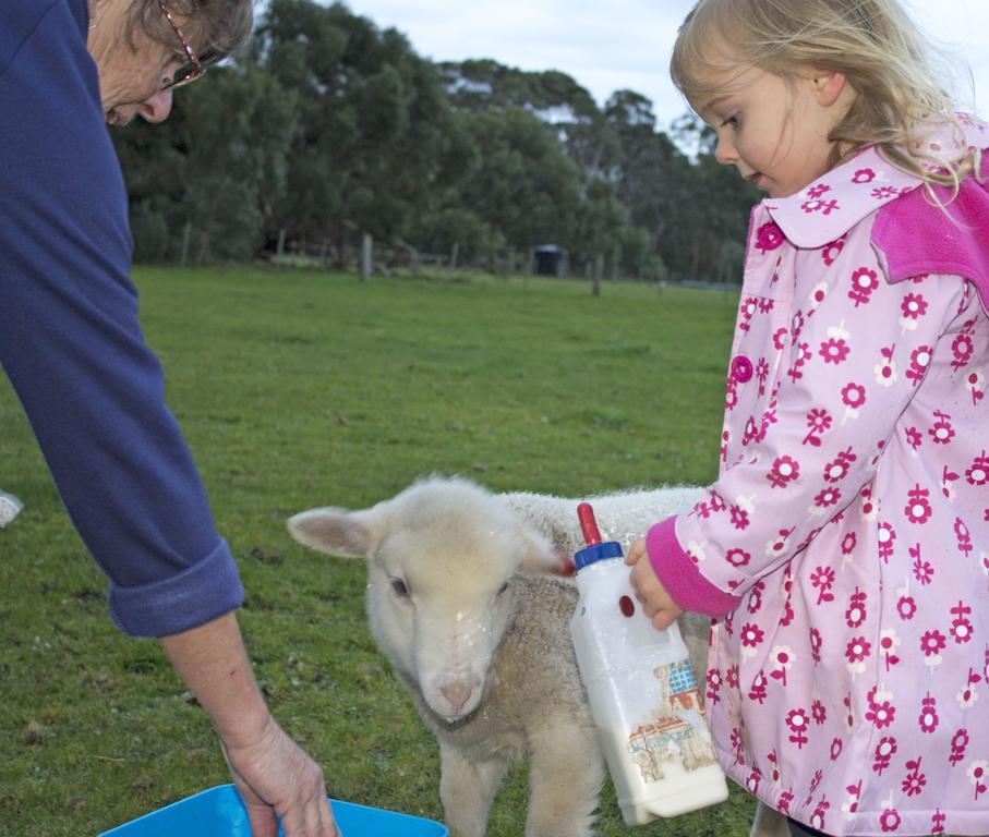 Freshwater Creek Cottages & Farm Stay Torquay Eksteriør bilde